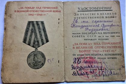 Медаль  За победу над Германией в Великой Отечественной войне 1941 - 1945 гг.