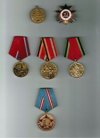 Медаль за взятие Берлина, Орден Отечественной Войны