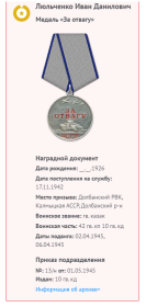 медаль «За Отвагу»