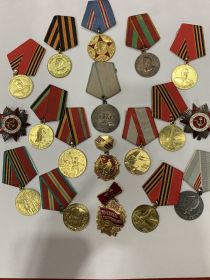 Медаль «За Отвагу», Медаль «За победу над Германией» Орден Отечественной Войны 1 степени