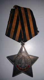 Орден Славы 3 степени  № 450610 
