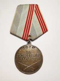 Медаль «За боевые заслуги» №2205938