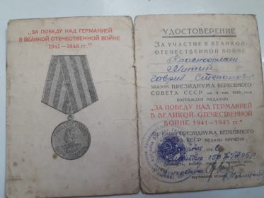 медаль "За победу над Германией в Великой Отечественной Войне 1941-1945 гг"