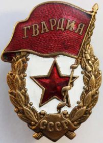 нагрудный знак "Гвардия"