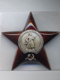 Орден Красной Звезды - 12.04.1942, Удост. № 583507