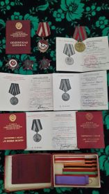 4 Ордена: «Отечественной войны 2-й степени», 2«Красной Звезды», «Красного Знамени» и 6 медалей: