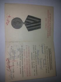 Медаль за победу над Германией в Великой Отечественной войне 1941-1945гг
