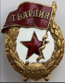 Нагрудный знак «Гва́рдия»