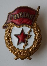 Нагрудный знак «Гва́рдия»