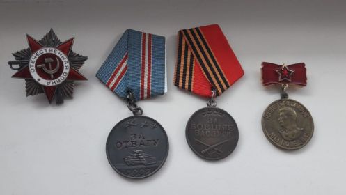 Боевые: Медаль за отвагу, Медаль за боевые заслуги, Орден отечественной Войны II степени