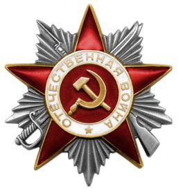 Орден Отечественной войны II степени,  № наградного документа: 122 Дата наградного документа: 26.12.1988