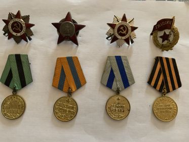 Ордена Отечественной войны 1 и 2 степени,орден Красной Звезды, медали за освобождение Белграда, Будапешта, Вены.