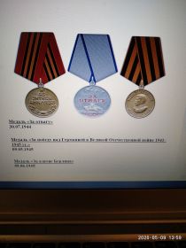 Медаль за Отвагу,  Медаль за взятие Берлина,  Медаль за победу над Германией в Великой Отечественной войне