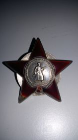 Орден Красной Звезды № 1329639