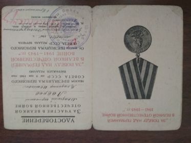 Медаль за Победу над Германией в Великой отечественной войне 1941-1945гг