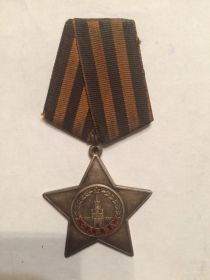 Орден Славы 3-ей степени, 10 февраля 1945 года