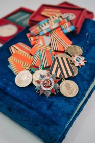 Юбилейные медали за победу над Германией 1941-1945 г.г.