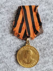 Медаль За победу над Германией в Великой Отечественной Войне 1941 - 1945 гг.