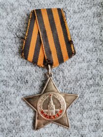 Орден Славы III степени (N 5880)