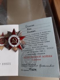 Орден Великой Отечественной Войны 1 степени