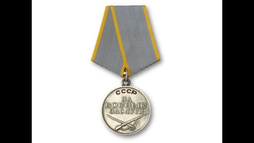 Медаль за боевые услуги