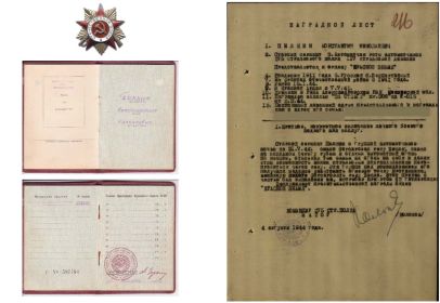 Орден «Отечественной войны первой степени»