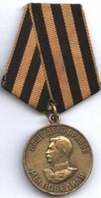 .Медаль «За Победу над Германией»