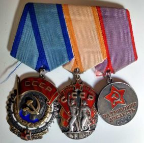 Ордена Трудового Красного Знамени, Знак Почета, медаль За Трудовую Доблесть