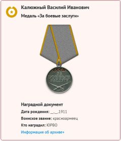 Медаль За боевые заслуги