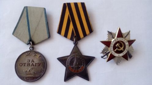 Орден Великой Отечественной войны второй степени, медаль за освобождение Варшавы,  иные медали