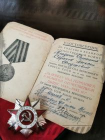 Медаль за победу над Германией в Великой Отечественной войне 1941-1945 гг.