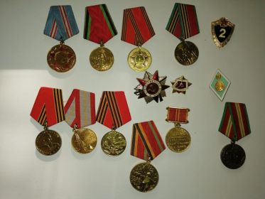 Награжден орденом «Красной звезды», медаль участника «Великой отечественной воины», медалью за трудовую доблесть и многими юбилейными медалями