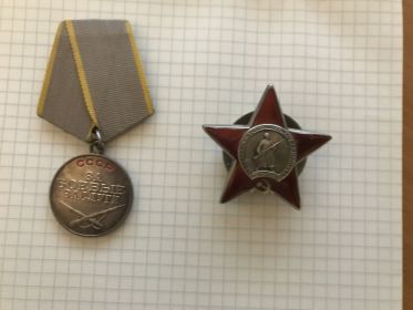 Медаль за боевые заслуги; Орден красной звезды