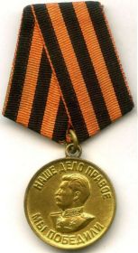 Медаль за победу над Германией в Великой Отечественной войне 1941-1945 гг