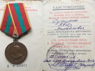 Медаль: «За доблестный труд в Великой Отечественной войне 1941-1945гг.»