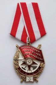 Орден Красного знамени 3