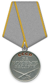 Медаль «За Боевые заслуги»