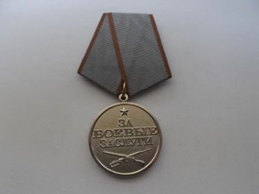 Награжден медалью «За боевые заслуги»
