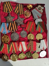 Ордена Слава 3-ей степени, Слава 2-ой степени, медали "За отвагу", "За боевые заслуги", "За победу над Германией", "За взятие Берлина"
