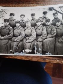 7увдп