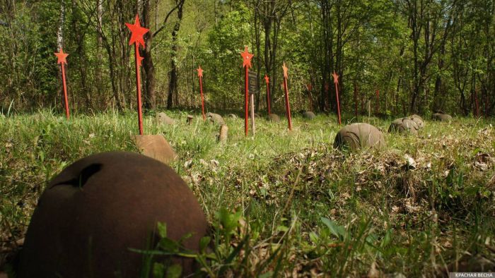 В Краснодарском крае захоронили останки 39 красноармейцев