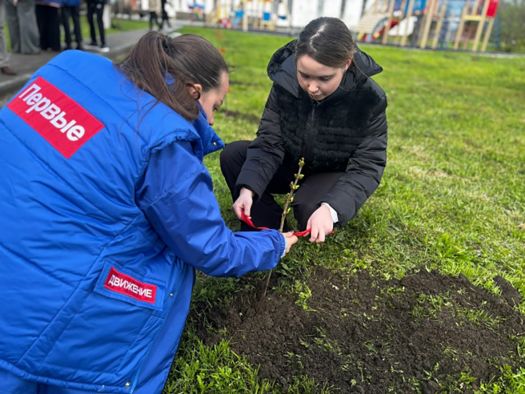 САЖЕНЦЫ СИРЕНИ СТАЛИ СИМВОЛОМ ЖИЗНИ И БЛАГОДАРНОСТИ ПОТОМКОВ