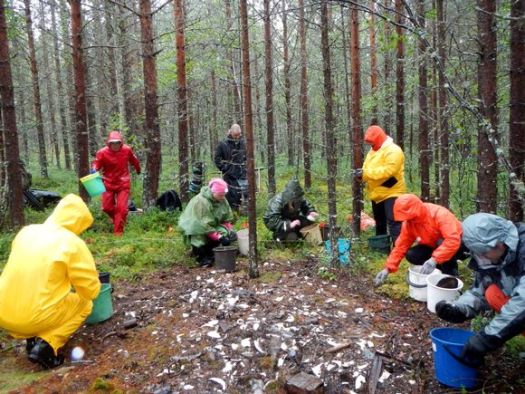 В Лапландии начались археологические раскопки на месте немецкого лагеря для военнопленных