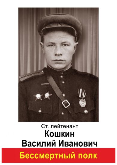 Кошкин Василий Иванович