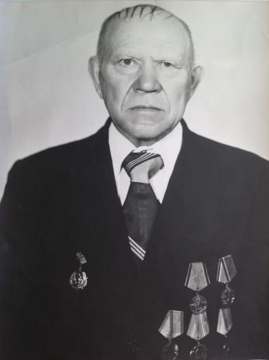 Елисеев Дмитрий Васильевич
