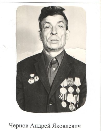 Чернов Андрей Яковлевич