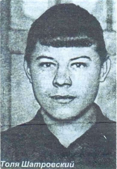 Шатровский Анатолий Александрович