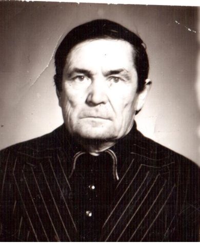 Плотников Анатолий Григорьевич