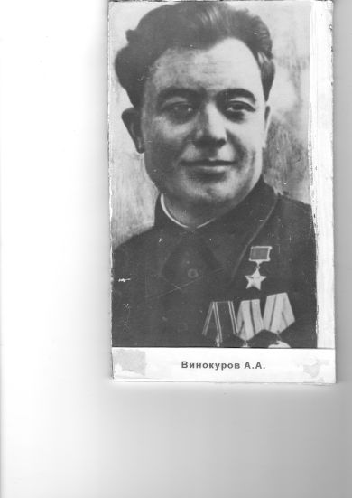 Винокуров А.А.