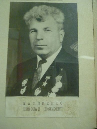Николай Ефимович Матвиенко